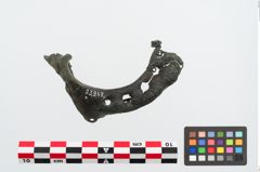 Foto von Bronzegehängehalbmondfibel (NHMW-PRAE-023947)